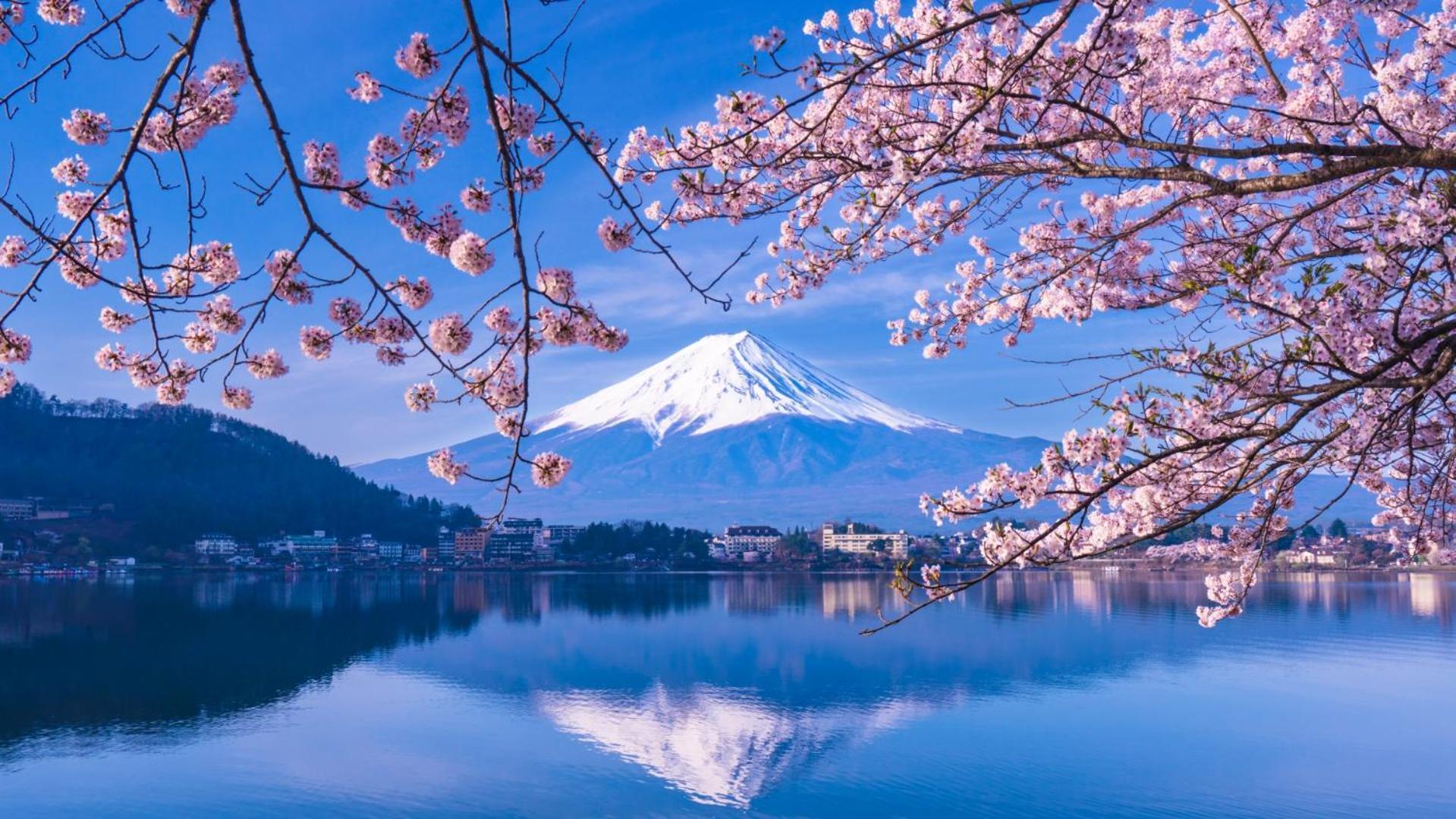 Mt Fuji Glamping Tourist Villa Kawaguchiko Fujikawaguchiko Εξωτερικό φωτογραφία