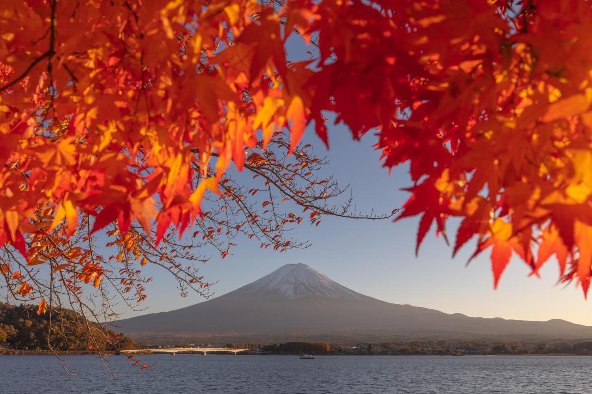 Mt Fuji Glamping Tourist Villa Kawaguchiko Fujikawaguchiko Εξωτερικό φωτογραφία